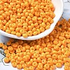 Baking Paint Glass Seed Beads SEED-B001-02A-17-1