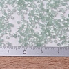 MIYUKI Delica Beads SEED-JP0008-DB0829-4