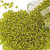 TOHO Round Seed Beads SEED-XTR11-1013-1