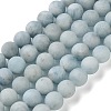Natural Aquamarine Beads Strands G-C268-D01-2