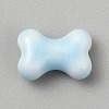 Handmade Porcelain Beads PORC-FZC0001-001C-1