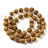 Raw Rough Natural Amber Beads Strands G-U023-D01-3