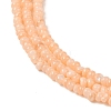 Natural Freshwater Shell Beads Strands SHEL-P017-01A-12-3