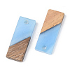 Resin & Walnut Wood Pendants RESI-S389-059A-C01-2