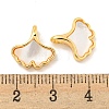 Natural Shell & Brass Gingko Leaf Charms KK-P275-06G-3