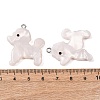 Opaque Cellulose Acetate(Resin) Pendants RESI-B042-02B-3