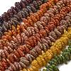 Painted Glass Beads Strands GLAA-Z021-07-1
