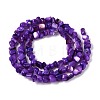 Natural Freshwater Shell Beads Strands SHEL-N037-04H-2
