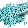 TOHO 8/0 Round Beads SEED-TR08-0055F-1