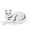 Cat Shape PVC Claw Hair Clips PW-WG79825-06-1