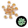 Luminous Transparent Acrylic Beads OACR-P037-01B-C-1