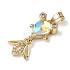 Brass Micro Pave Cubic Zirconia Pendants KK-K375-27G-16-2