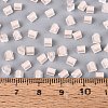 FGB Grade A Frosted Glass Seed Beads SEED-Q040-04A-09-6
