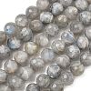 Natural Labradorite Beads Strands G-L642-F07-8mm-2