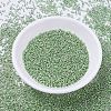 MIYUKI Delica Beads SEED-JP0008-DB0413-2