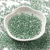 Baking Paint Glass Seed Beads SEED-K009-03B-01-2