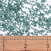 MIYUKI Delica Beads SEED-JP0008-DB0607-2