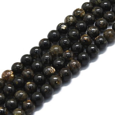 Natural Biotite Beads Strands G-P457-C02-01-1