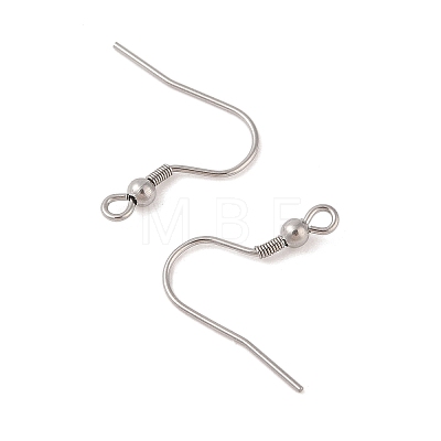 Tarnish Resistant 316 Surgical Stainless Steel Earring Hooks STAS-N106-06P-1