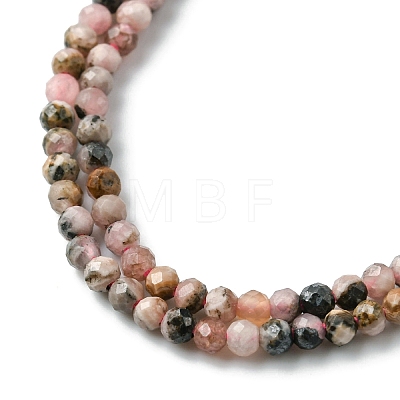 Natural Argentina Rhodonite Beads Strands G-M399-01A-1