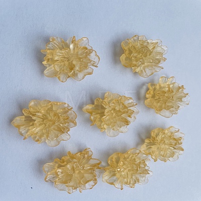 Transparent Resin Cabochons RESI-G027-01C-1