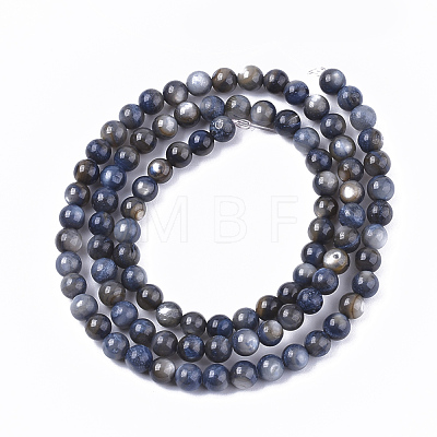 Freshwater Shell Beads Strands SHEL-S276-32A-1