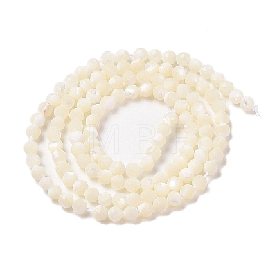 Natural Trochus Shell Beads Strands SHEL-P017-05-1