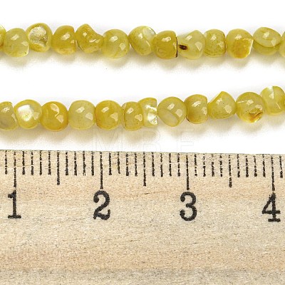 Natural White Shell Dyed Beads Strands BSHE-Z005-03F-1