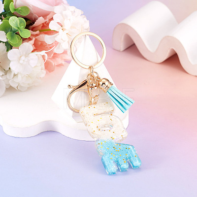 Alloy & Resin Tassel Keychainss AJEW-TADJ0001-20G-12-1