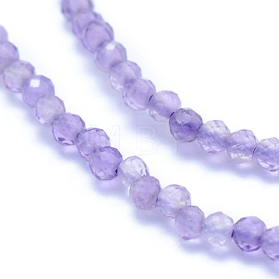 Natural Amethyst Beads Strands G-I279-E04-01-1