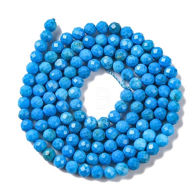 Natural Howlite Beads Strands G-C025-02B-10-1