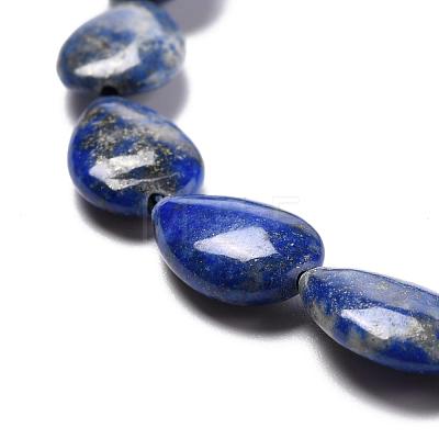Natural Lapis Lazuli Beads Strands G-K311-03D-02-1