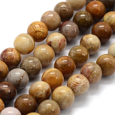 Natural Fossil Coral Beads Strands G-G763-12-14mm-1