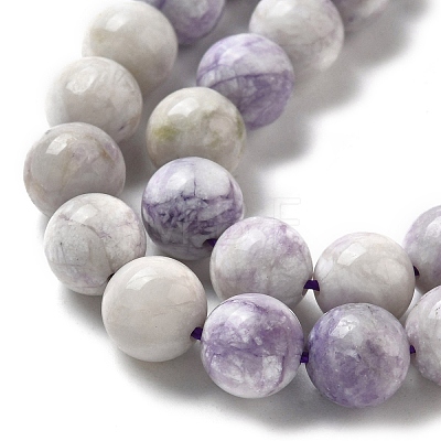 Natural Purple Turquoise Beads Strands G-L595-C04-02-1