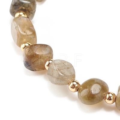 Natural Labradorite Round Beaded Stretch Bracelet BJEW-JB08197-06-1