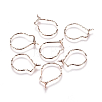 304 Stainless Steel Earring Findings LS-STAS-E484-65RG-1