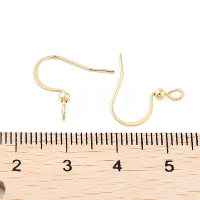 316 Surgical Stainless Steel Earring Hooks STAS-K274-10G-1