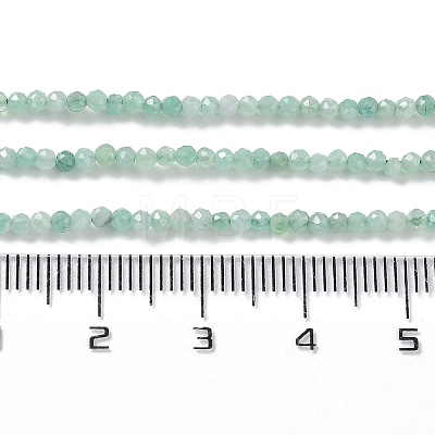 Natural Emerald Quartz Beads Strands G-P514-A01-01-1