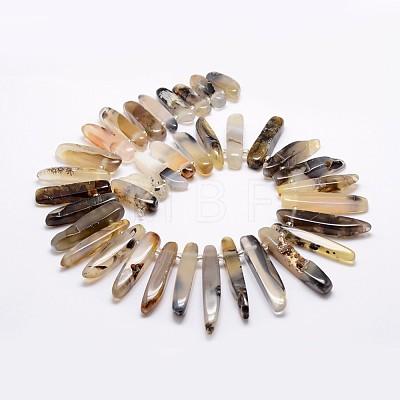 Natural Agate Bead Strands G-A171-12-1
