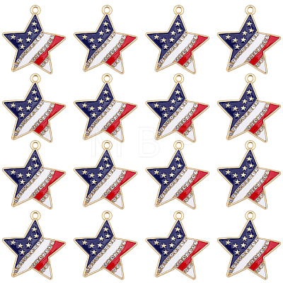 20Pcs Independence Day Alloy Enamel Pendants ENAM-SC0008-28-1