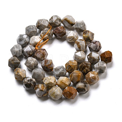 Natural Gobi Agate Beads Strands G-NH0012-B03-03-1