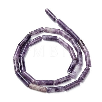 Natural Lepidolite/Purple Mica Stone Beads Strands G-F247-45-1
