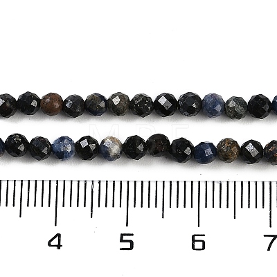 Natural Sapphire Beads Strands G-P553-G07-02-1