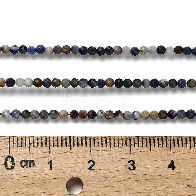 Natural Sodalite Beads Strands LS-G-RM2025-A19-2mm-A-1