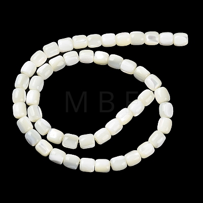 Natural Trochus Shell Beads Strands BSHE-E030-05A-1