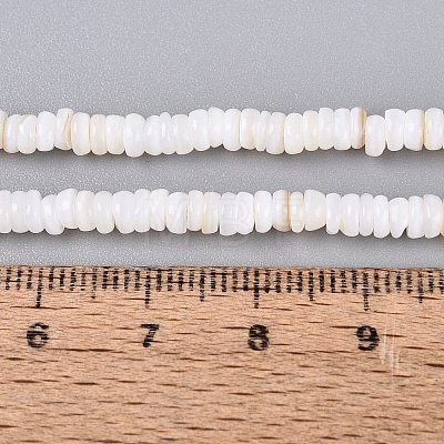 Natural Freshwater Shell Beads Strands SHEL-Q028-01-1