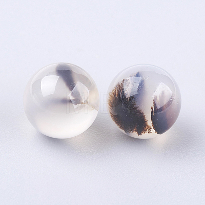 Natural Dendritic Agate Round Beads G-L475-01-1