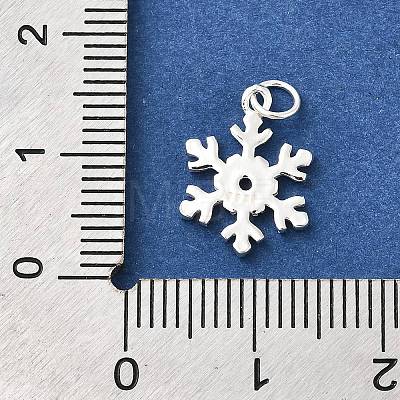 925 Sterling Silver Pendants STER-Q003-01F-S-1