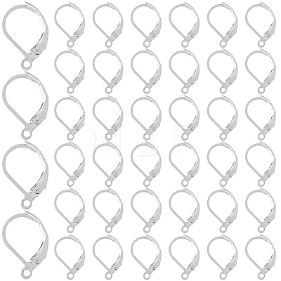 SOFPLATE 304 Stainless Steel Leverback Earring Findings STAS-SP0001-01B-1