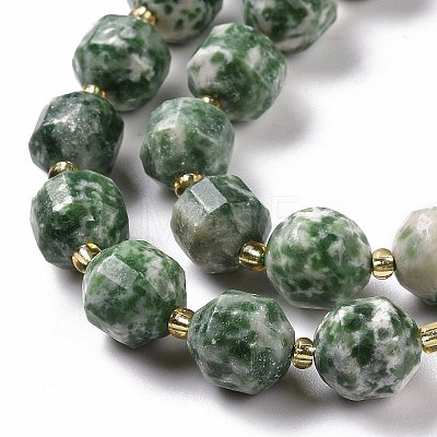 Natural Green Spot Jasper Beads Strands G-G990-F10-1